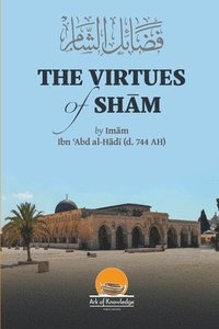 bokomslag The Virtues Of Sham