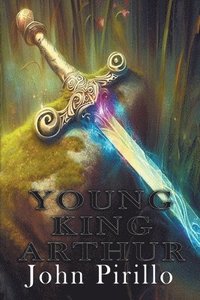 bokomslag Young King Arthur