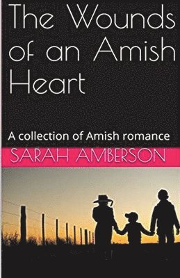 The Wounds of an Amish Heart 1