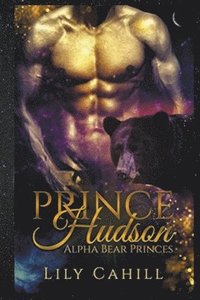 bokomslag Prince Hudson