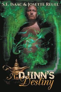 bokomslag Djinn's Destiny
