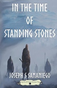 bokomslag In the Time of Standing Stones