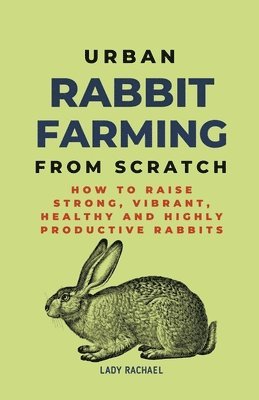 Urban Rabbit Farming From Scratch 1