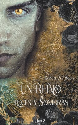 Reino de Luces y Sombras