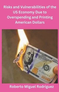 bokomslag Risks and Vulnerabilities of the US Economy Due to Overspending and Printing Dollars