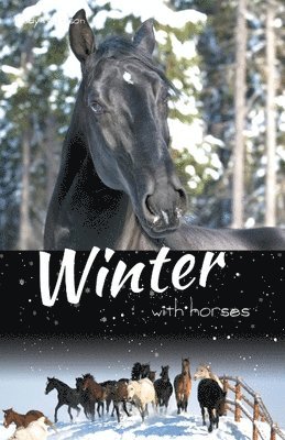 Winter with Horses 1