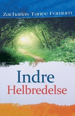 bokomslag Indre Helbredelse