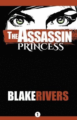 bokomslag Assassin Princess
