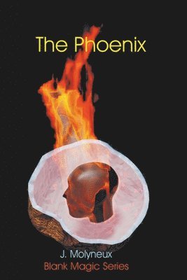 The Phoenix 1