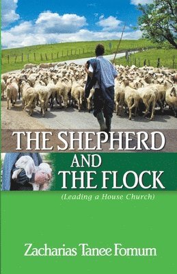 bokomslag The Shepherd And The Flock (Leading A House Church)
