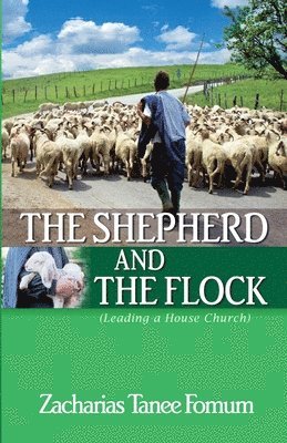 The Shepherd and the Flock (Leading a House Church) 1