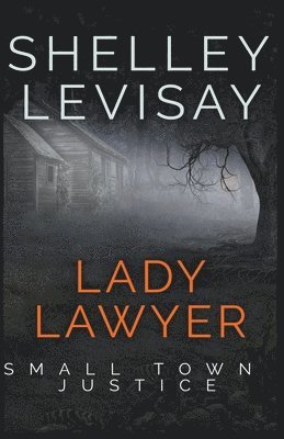 bokomslag Lady Lawyer