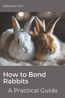 bokomslag How to Bond Rabbits