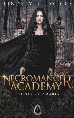 Lindsey R Loucks, Lindsey R. Loucks - Necromancer Academy, Häftad