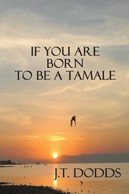 bokomslag If You Are Born To Be A Tamale