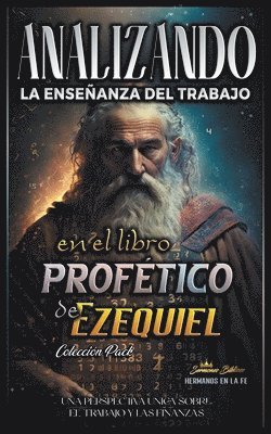 bokomslag Analizando la Enseanza del Trabajo en el Libro Proftico de Ezequiel