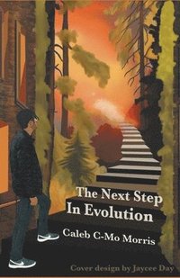bokomslag The Next Step in Evolution