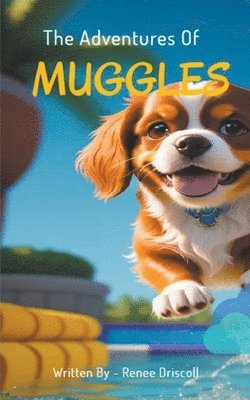 Adventures of Muggles