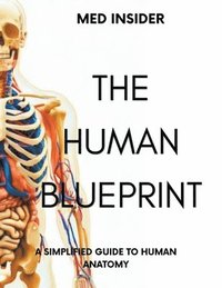 bokomslag The Human Blueprint