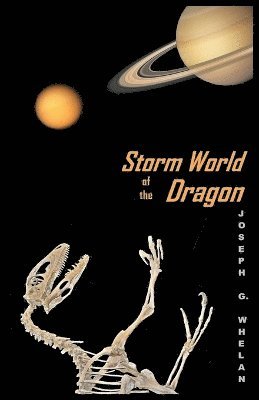 bokomslag Storm World of the Dragon