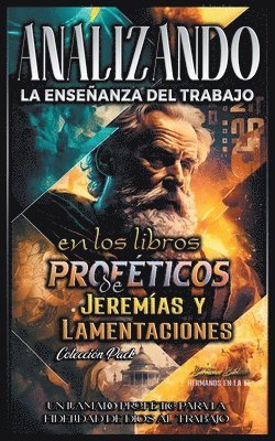 bokomslag Analizando la Enseanza del Trabajo en el Libro Proftico de Jeremas y Lamentaciones