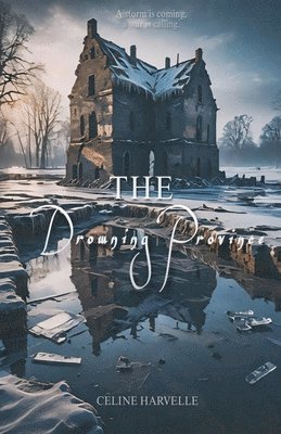 The Drowning Province 1