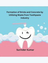 bokomslag Formation of Bricks and Concrete by Utilizing Waste from Toothpaste Industry