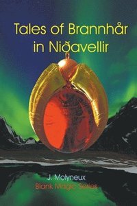 bokomslag Tales of Brannhr in Niavellir