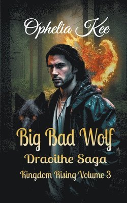 bokomslag Big Bad Wolf