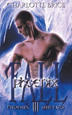 bokomslag Phoenix Fall