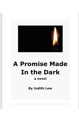 bokomslag Promise Made In The Dark