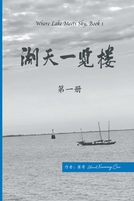 崔哥 - 湖天一览楼 第一册 （简体中文）, Häftad