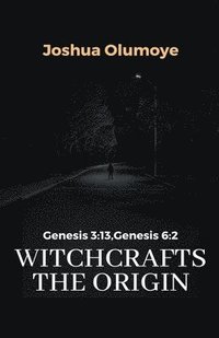 bokomslag Witchcrafts the Origin