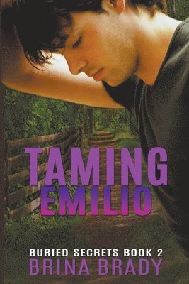 Brina Brady - Taming Emilio, Häftad