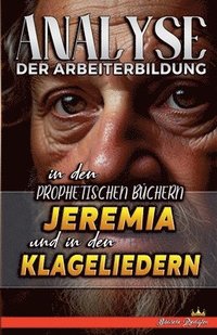 bokomslag Analyse der Arbeiterbildung in den Prophetischen Bchern Jeremia und in den Klageliedern
