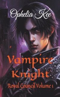 bokomslag Vampire Knight
