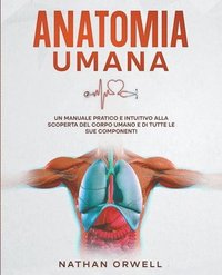 bokomslag Anatomia Umana