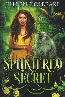 bokomslag Splintered Secret