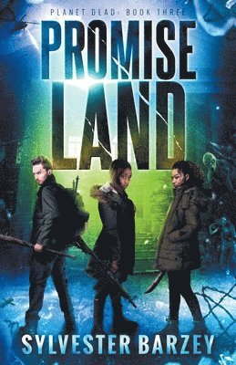 Sylvester Barzey - Promise Land, Häftad