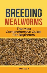 bokomslag Breeding Mealworms