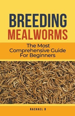 Breeding Mealworms 1