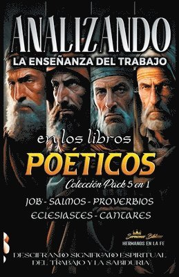 bokomslag Analizando la Enseanza del Trabajo en los Libros Poticos