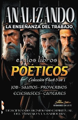 bokomslag Analizando la Enseñanza del Trabajo en los Libros Poéticos