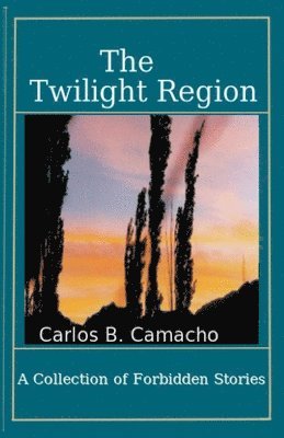 The Twilight Region 1