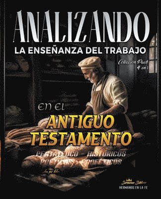 bokomslag Analizando la Enseanza del Trabajo en el Antiguo Testamento