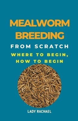Mealworm Breeding From Scratch 1