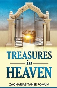 bokomslag Treasures in Heaven