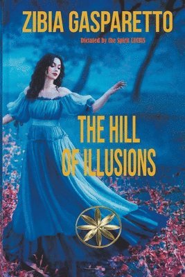 bokomslag Hill of Illusions