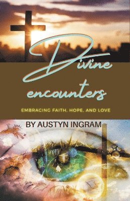bokomslag Divine encounters