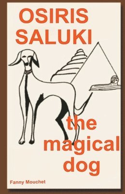 Osiris Saluki, the magical dog 1